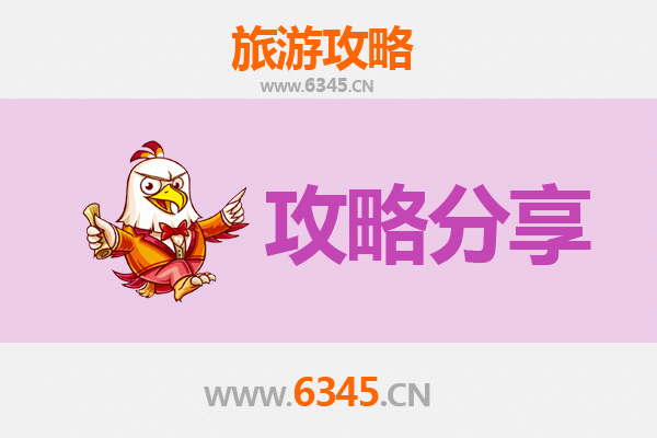仙桃赵西垸林场旅游攻略：跟团与自由行深度对比
