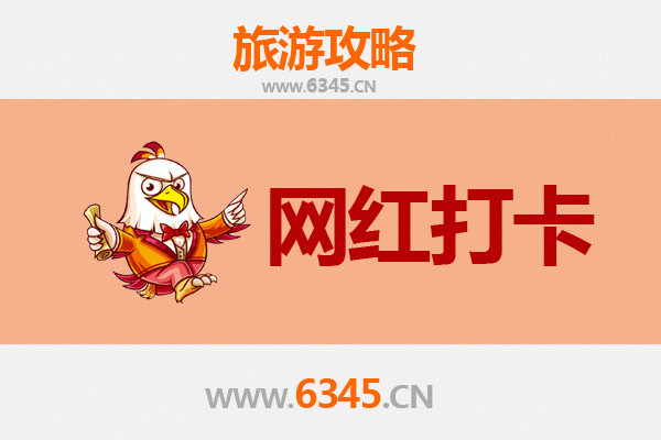 仙桃赵西垸林场：森林秘境与网红打卡全攻略