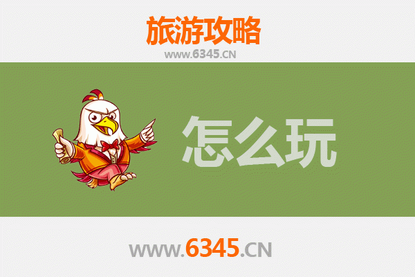 节假日仙桃赵西垸林场游玩全攻略：森林氧吧与亲子乐趣之旅